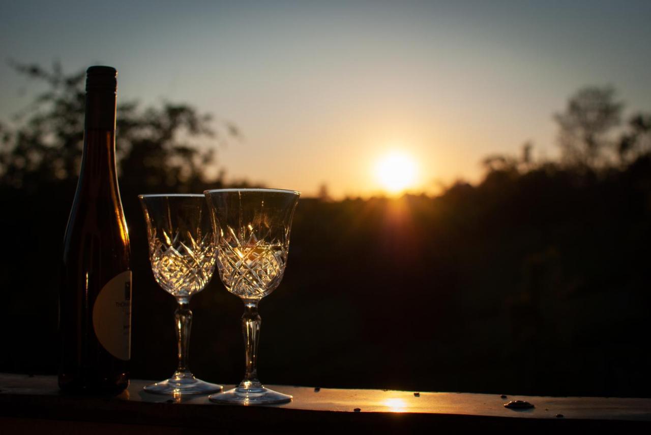 Ferienwohnungheimatgefuehl Rimpar Buitenkant foto